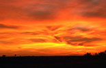 Alligator Alley, Florida, 1997